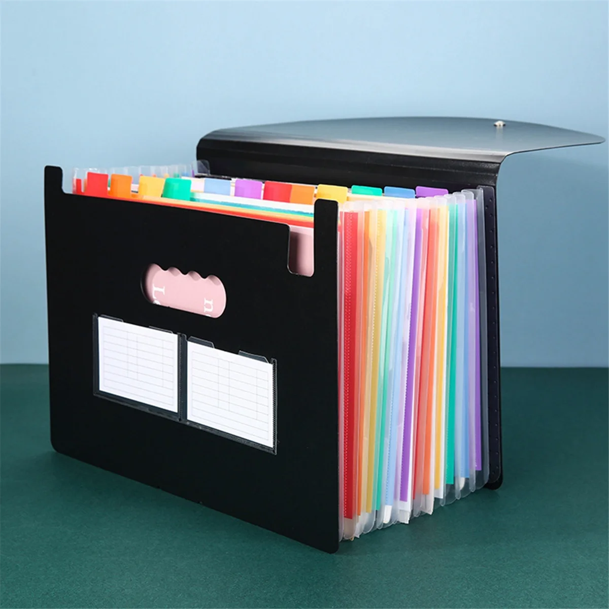 13 Pockets Expanding File Folder A4 Expandable File Organizer Standing Accordions Folder