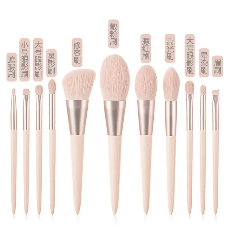 Pinceau de maquillage rose imbibé, brosse spéciale pour ombre à barrage, fard à joues, surbrillance, formation scolaire, 24 filles, haut de gamme