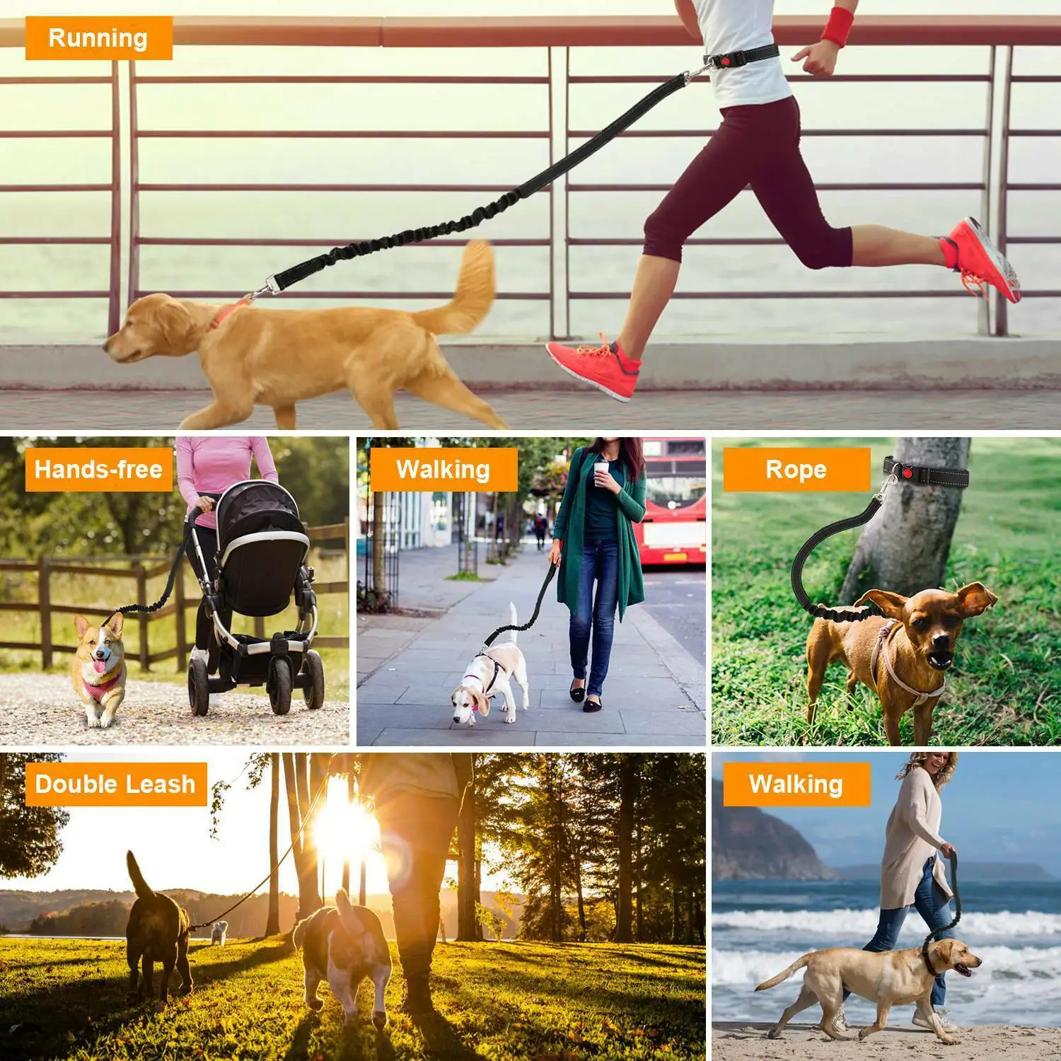 

Elastic Hands Free Dog Leash for Jogging Running Black Adjustable Waist Belt Harness 30 100 lbs Durable Pet Supplies