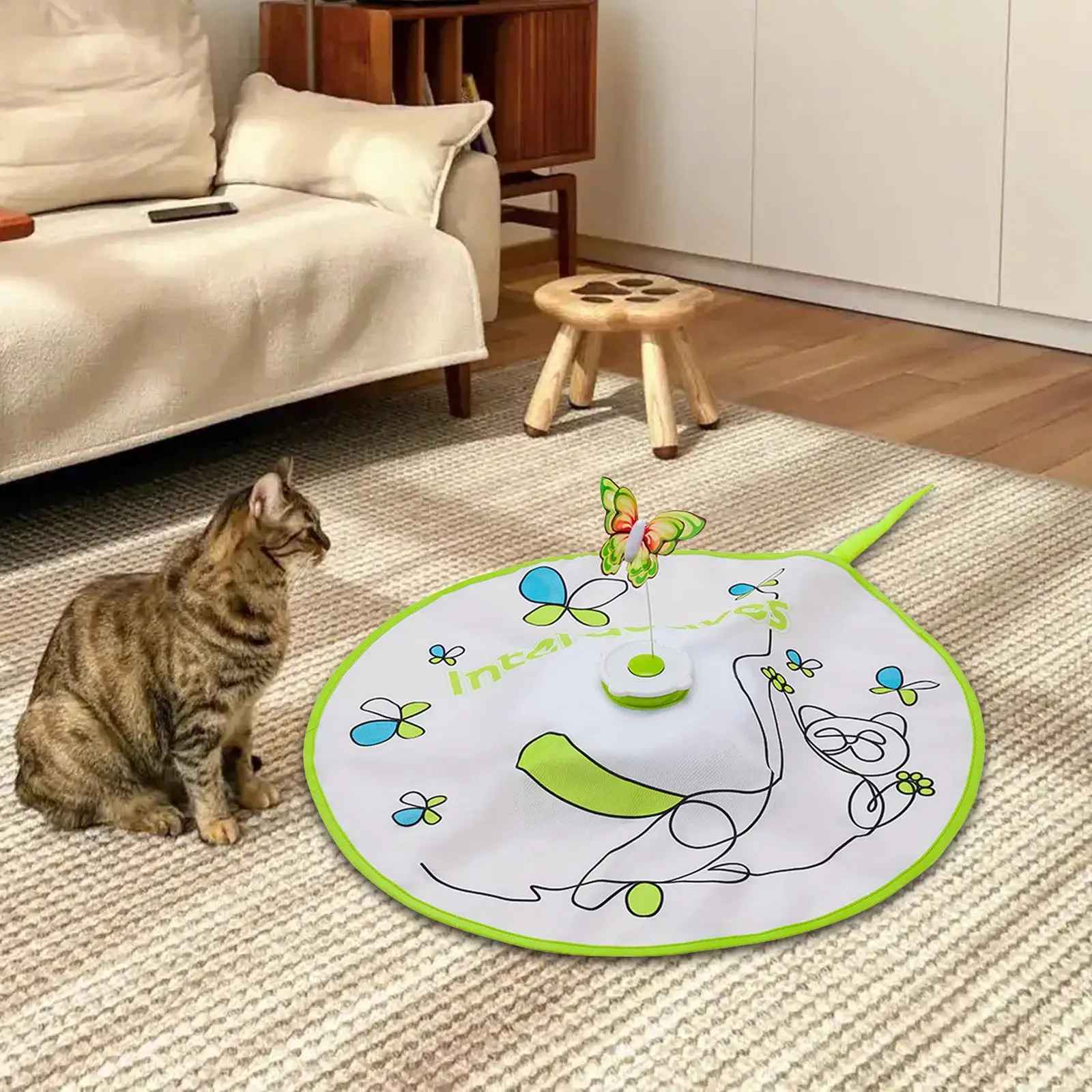 Interactive Cat Toy Portable for Chase Pet Training Exercise Entertainment