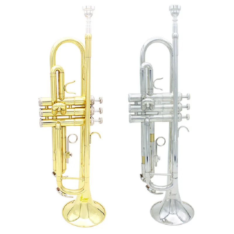 

Trumpet Brass Pipe Body, Professional Play B Flat Horn, Western Instrument