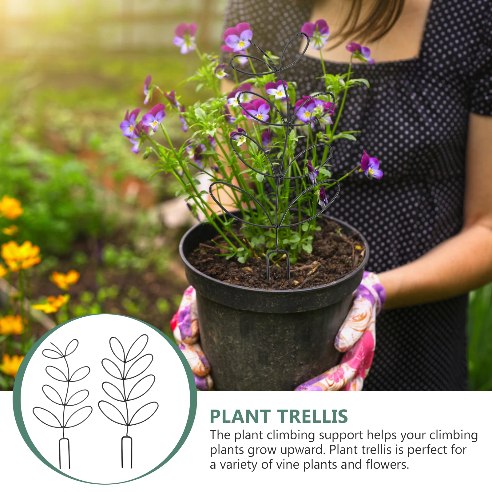 

Plant Trellis for Indoor Potted Plants Support Frame Tomato Flower Garden Small