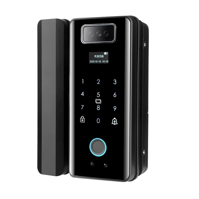 Home Electronic Smart Face Lock Digital Biometric Fingerprint Door Lock Smart Lock for Glass Door