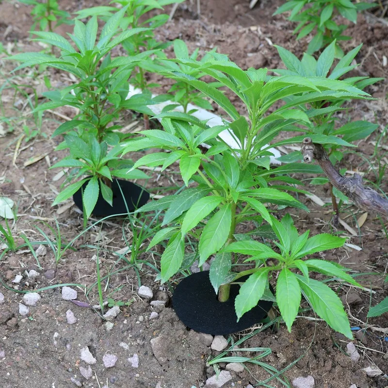 30/5Pcs Non-Woven Tree Mulch Ring Weeding Barrier Reusable Garden Mat Garden Netting Blanket Gardening Anti Grass Cloth Films