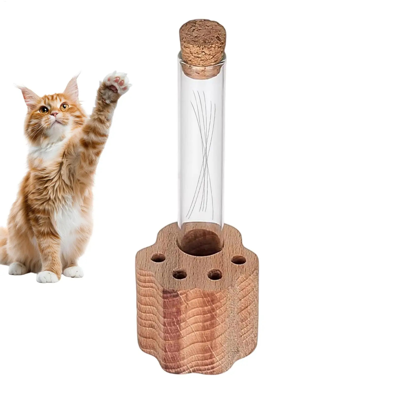 Transparenter Glas-Katzen-Schnurrhaar-Sammler, Verlust von Haustier-Sympathie, Andenken, Haustierhaar, Bartsammler, Haustiere, Souvenir, Haustier-Schnurrhaar-Vase