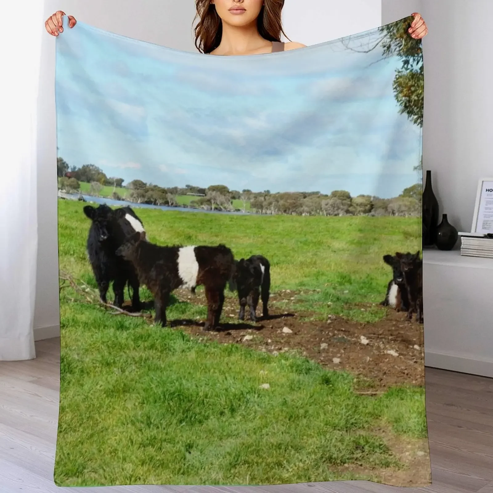 

New Belted Galloway Cows And Calves, Throw Blanket Multi Purpose Soft Warm Blanket for Home Travel
