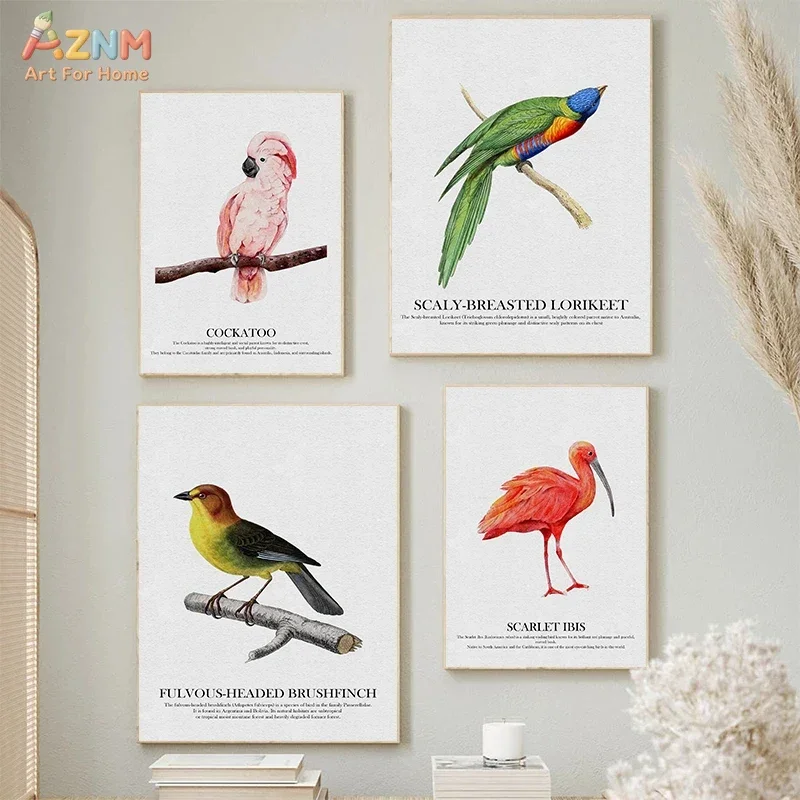 AZNM Vintage Bird Botanical Canvas Print, Hummingbird Toucan Parrot Wildlife Illustration Unframed Canvas Painting, Natural Stud