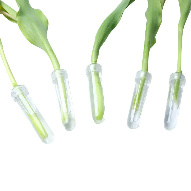 20pc Plastic Fresh Flower Nutrition Tube with Cap Water Storage Tube Keep Fresh Hydroponic Container Floral Water Tube
