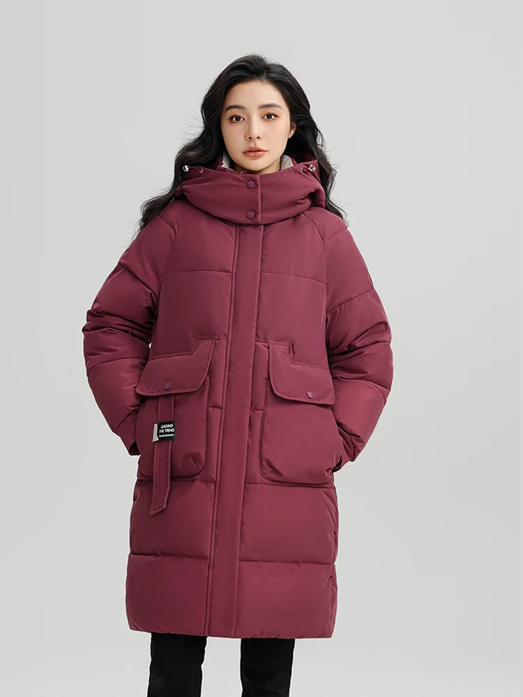 Vielleicht 2024 New Korean Style Long Parkas Winter Puffer Jacket For Women Down Cotton-padded Thickened Hooded Coat Clothes