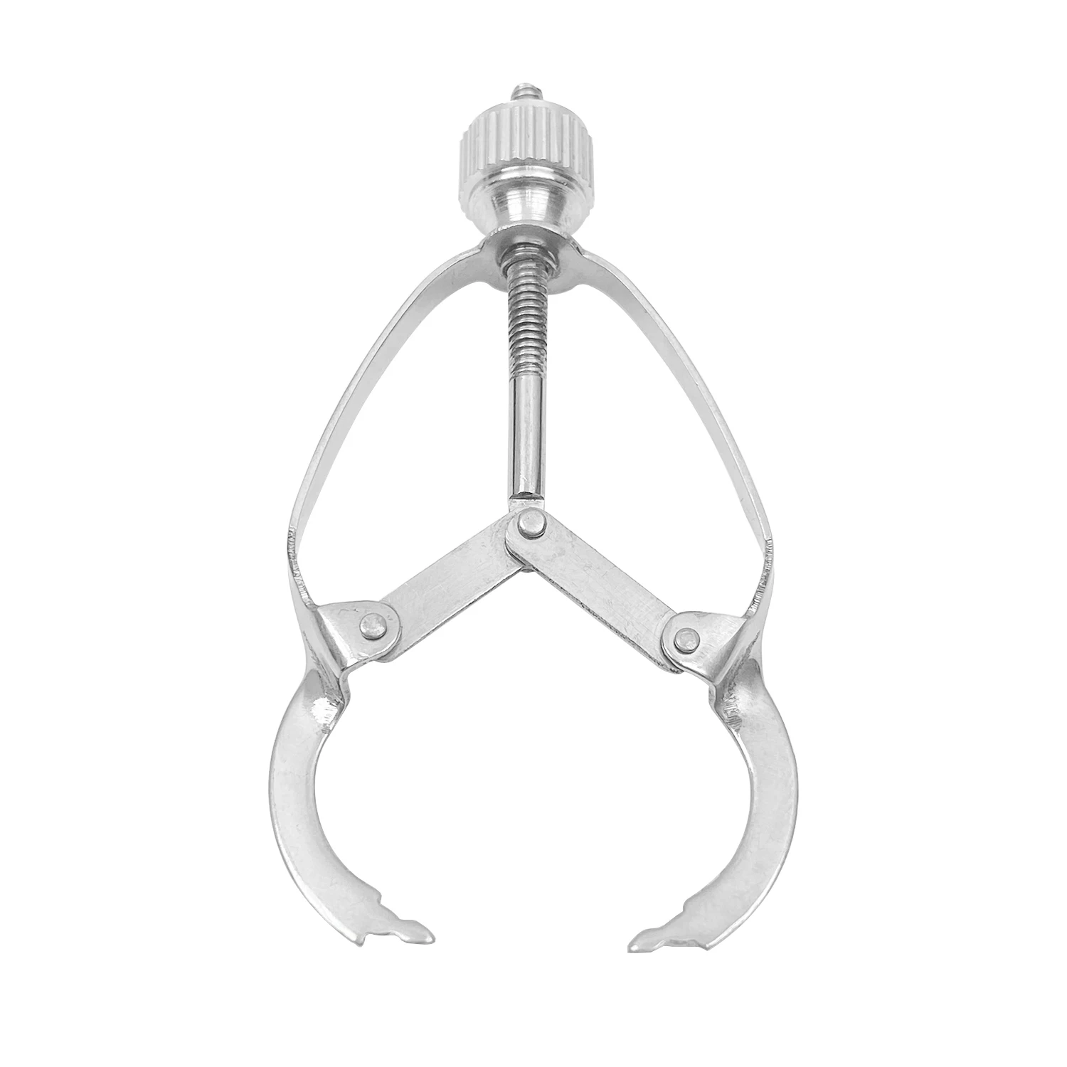 JOLANT Stainless Steel Dental Ivory Matrix Band Retainer Clips Instruments Dentistry Matrices Holder Band Forming Sheet Plier