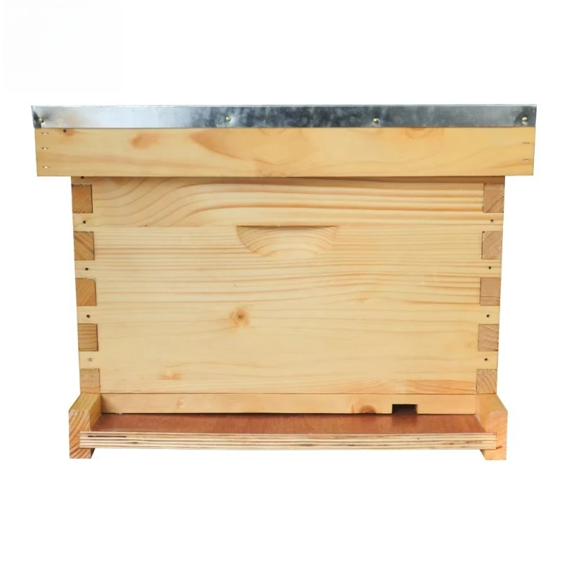 Alvive in legno 8 e 10 telai Alvive per api