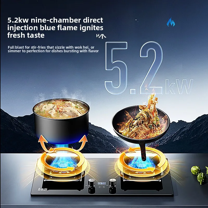 Built-in 2 Burner Gas Stove Household High Power Cooktop For Natural Gas LPG Kitchen Cooking Hob