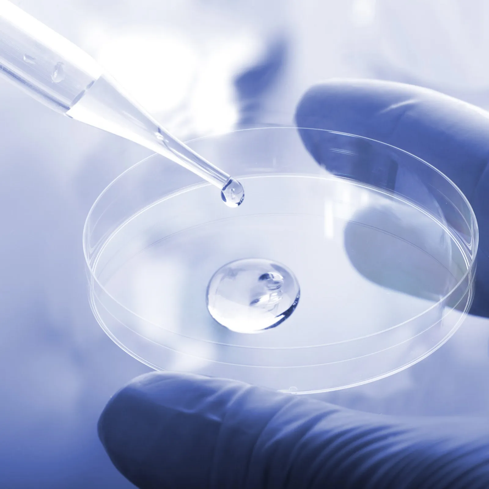 

10Pcs Culture Dish Clear Plastic Round Culture Plates with Lid Laboratory Chemistry Experimental Agar Tray Holder