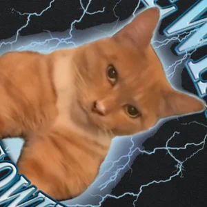 Frauen und lustige Männer Katzen Katzen Grafisches T-Shirt, 100% Baumwolle, weich, Unisex, O-Tee-Tops, schön, mewing, mewing, Größe von EU 11 Hauptverkäufe lustiges Shirt - №6