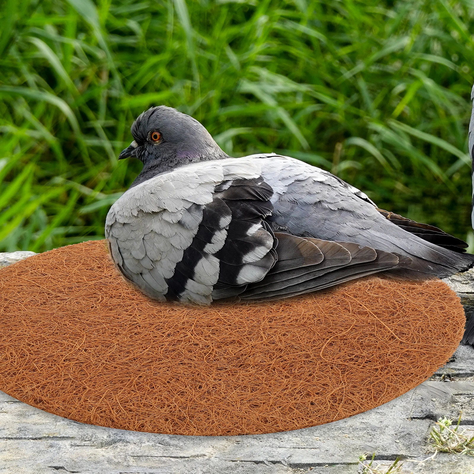 

4pcs Natural Coconut Fiber Bird Nest Pad Comfortable Reusable Pet Nesting Mat For Pigeons Parrots Rabbits Hamsters Durable Warm