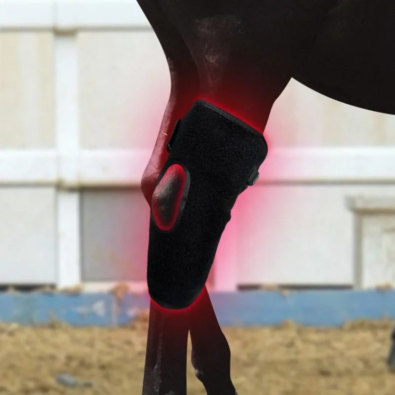 

Suitable for Pet Sports Wound Recovery Horse Knee Portable Phototherapy Instrument Set