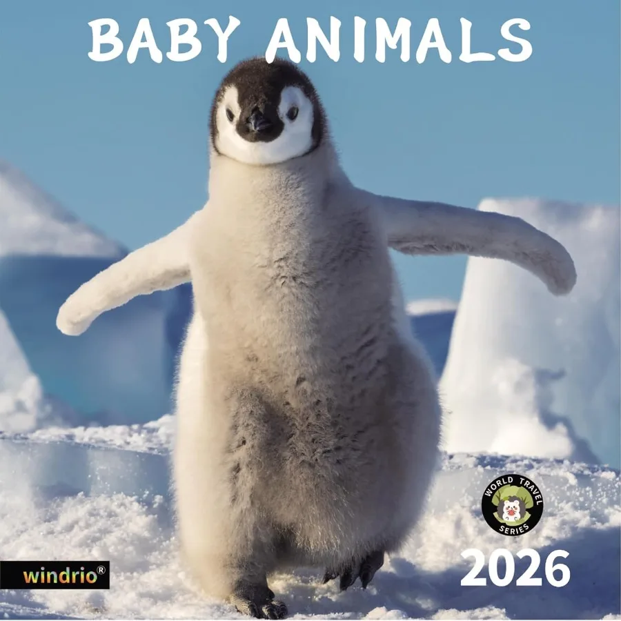 2026 تقويم الحائط التقويم 2026 نوفمبر 2025 ديسمبر 2026 تقويم الحائط الطفل الحيوانات 12 "× 24" مفتوحة كاملة e أشهر سميكة و