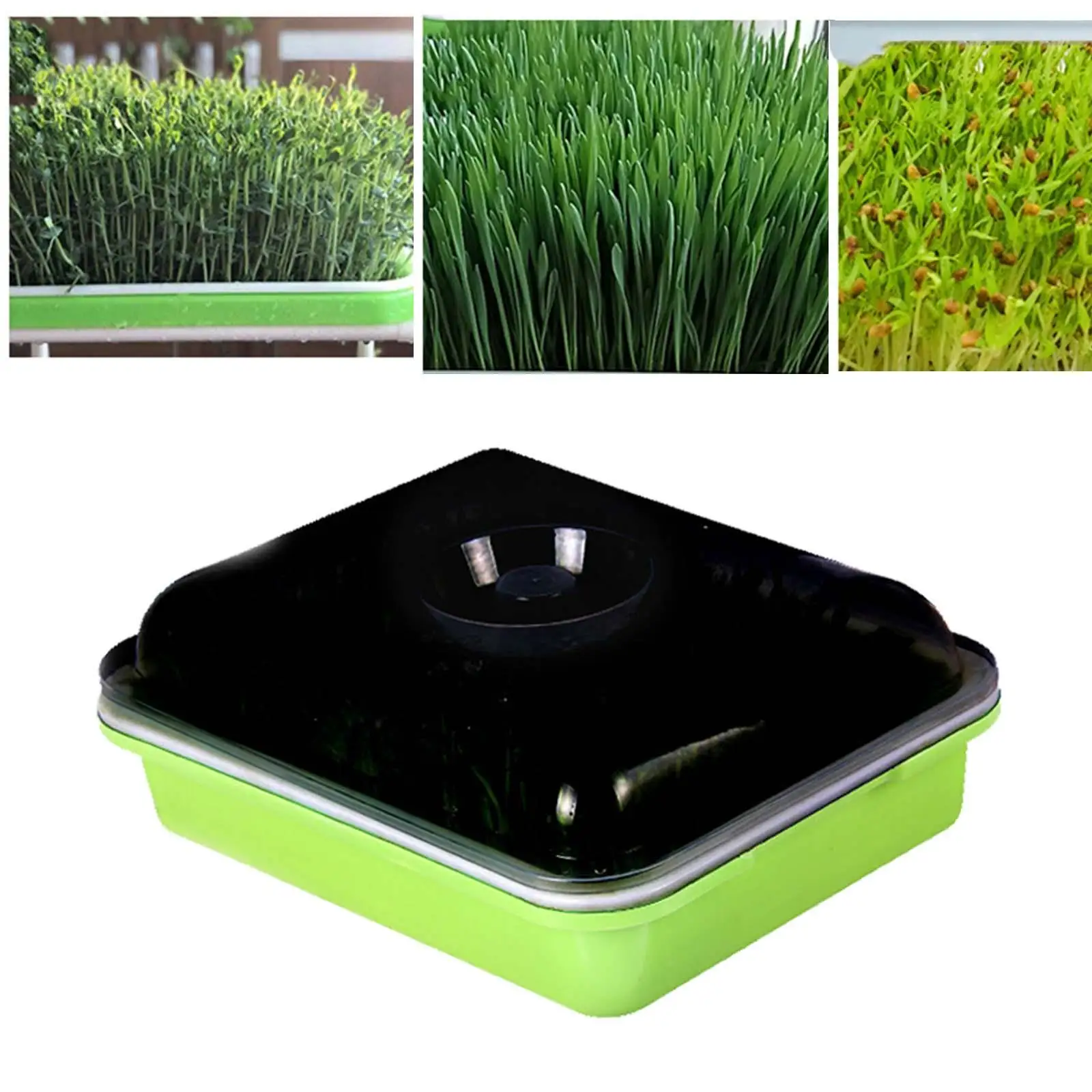 

Seed Sprouter Tray Big Capacity Soil Free with Lid Microgreens Growing Tray Seed Sprouting Tray for Indoor Gardening Garden Home