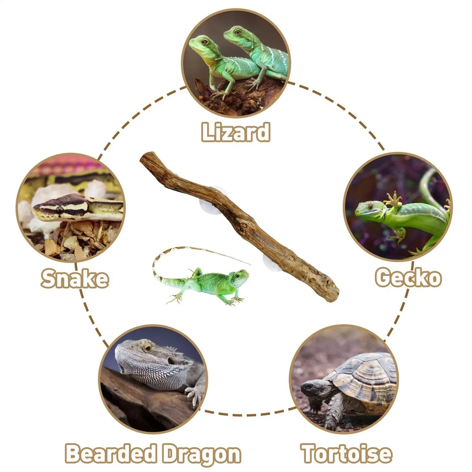 Reptilien-Kletterecke, rutschfeste Reptilienzweige, Reptilien-Deko für Bartagamen, Schlangen, Geckos, Chamäleons, Frösche – Detail 4