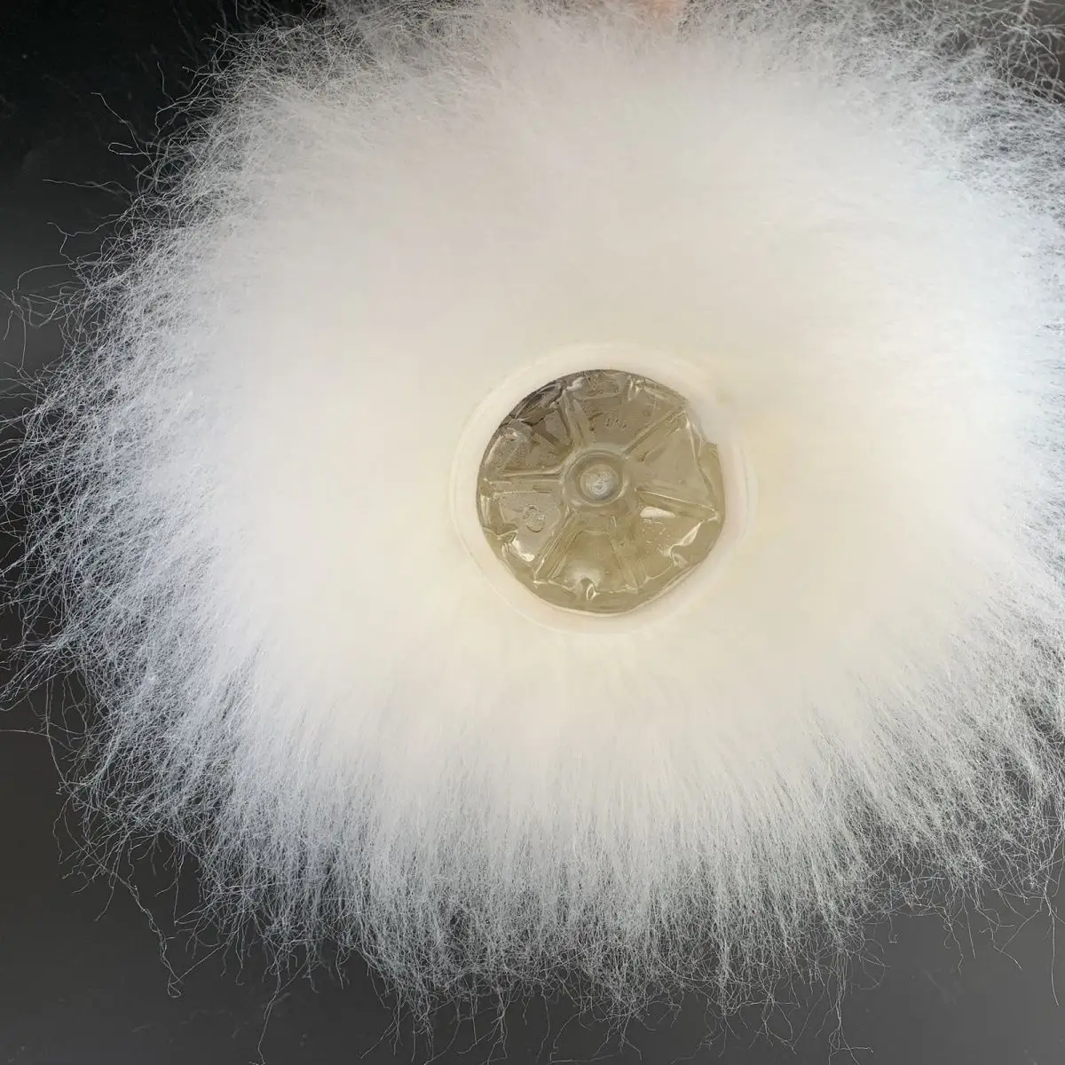 Cylindrical Simulation Fake Fur for Pet Grooming Practice School Teaching Artificial Leg Fur for Round Cutting Training