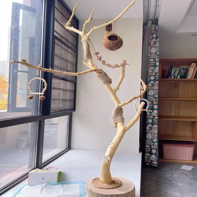 Dry Branch Log Tree Branch Art Deadwood Peeling Branch Bird Stand Lamp Holder Wall Hanger Branch Decoration