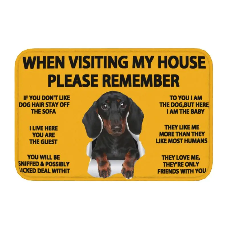 Dachshund Front Door Mat Anti-Slip Outdoor Quick Dry Badger Sausage Wiener Dog Doormat Garden Garage Entrance Rug Carpet