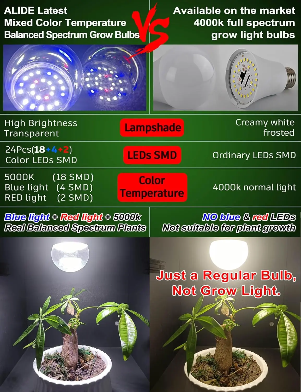 Plant lights1