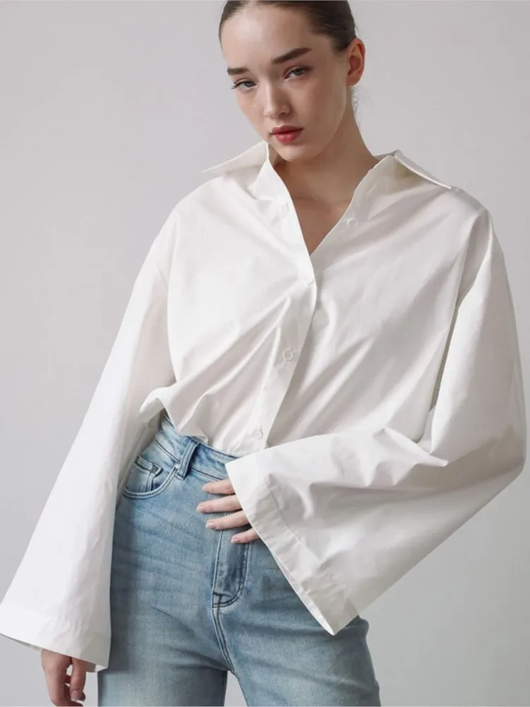 بلوزات نسائية لخريف 2025 بلوزة شتوية بأكمام طويلة بلوزة نسائية قميص مكتب أنيق للعمل بلوزات علوية Mujer De Moda