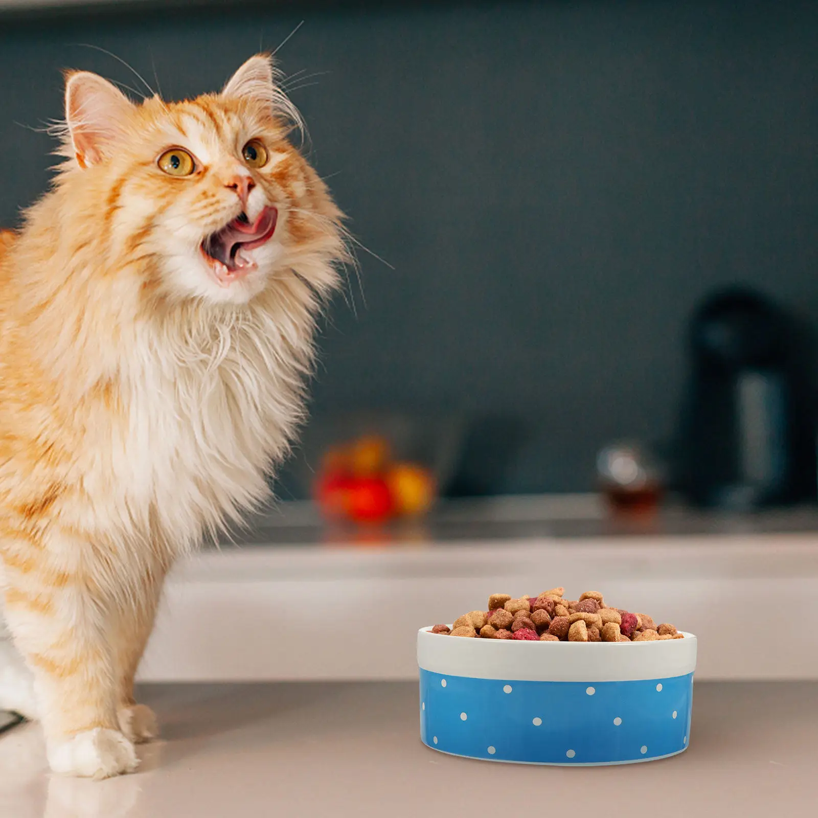 

Керамическая миска для кошек и маленьких собак: безопасная, легко моющаяся, для домашнего декора, отличная идея для подарка.
