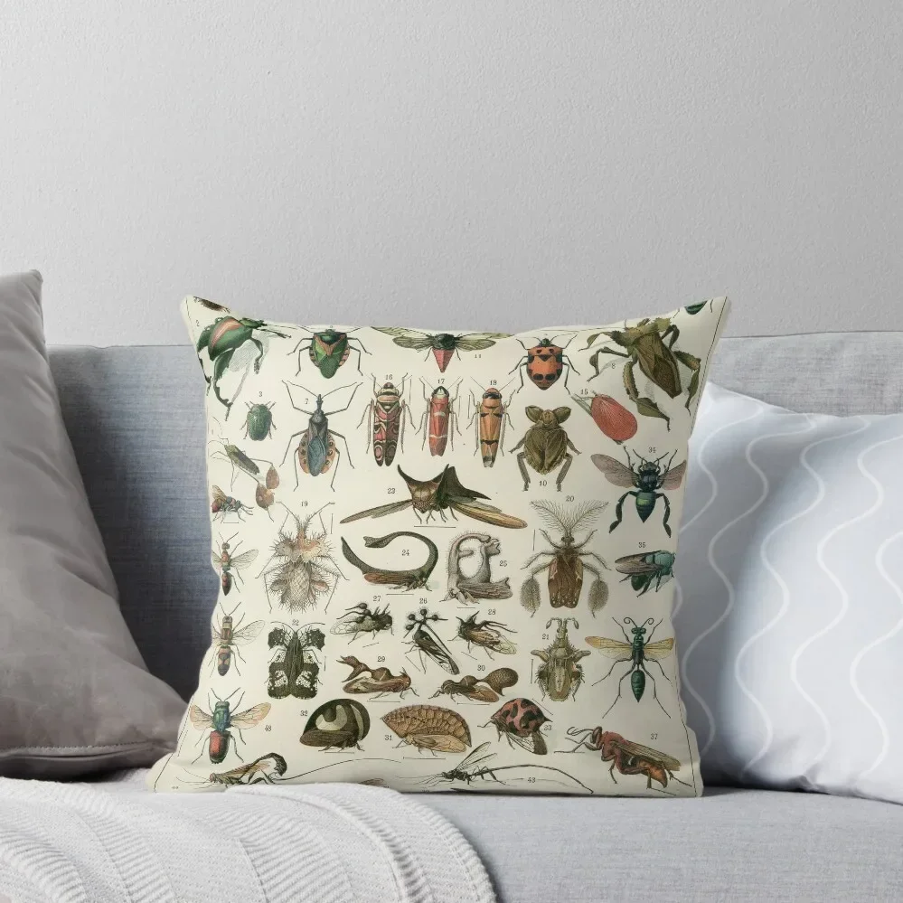 

Insects 1 Throw Pillow Decorative Cushion Cover Christmas Covers pillows decor home Sitting Cushion Pillow