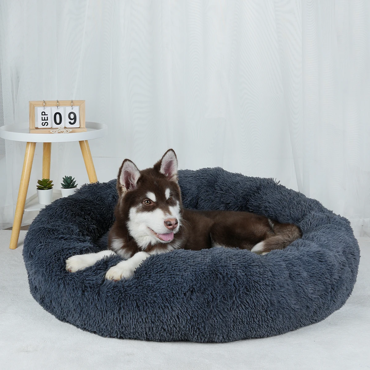 Thumbnail 4 - #22 Latest Puppy Beds Offers