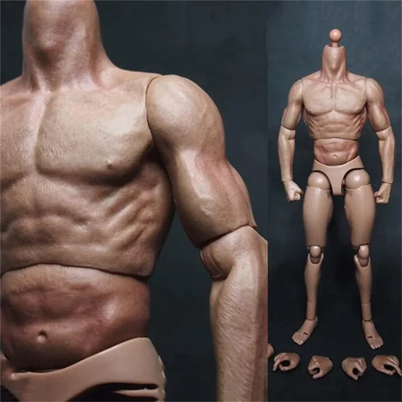 1/6 Scale Narrow Shoulder Male Body Doll Action Figure for TTM18 TTM19 Hot Toys & Human Body Sketch Model