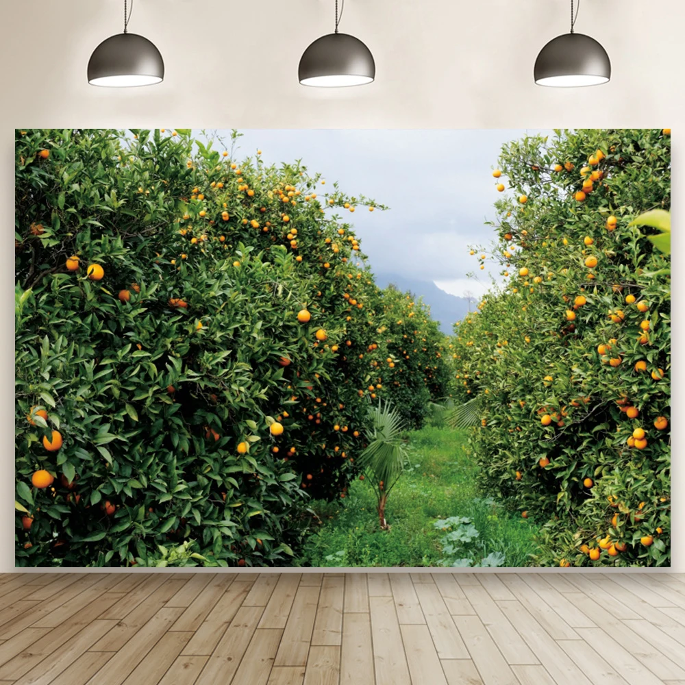 Telón de fondo de huerto, naranja, manzana, árbol, vista Natural, estudio, Retrato, fotografía, decoración de habitación, fotomatón