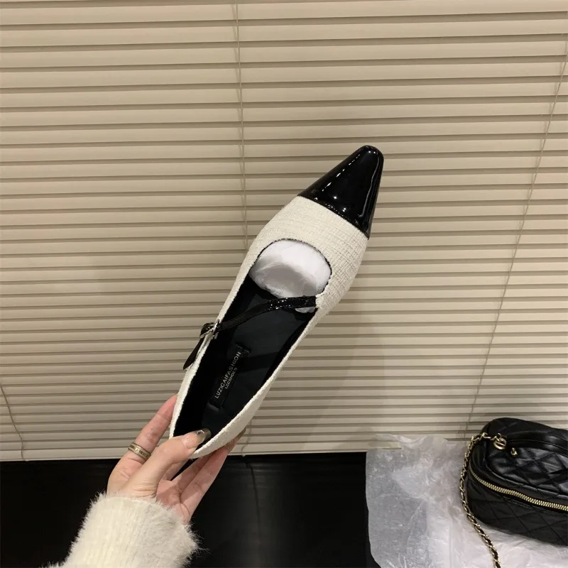 New Fashion Women's Retro Style Thick Heel Women Mary Jane Shoes Fashion Shallow Pointed Toe Ladies Comfort Office Pump Footwear