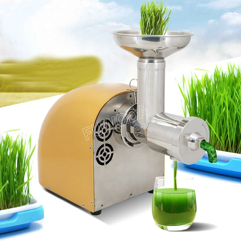 Masticating Auger Juicer 300W Fruit and Vegetable Low Speed Juice Extractor Slow Compact Cold Press Juicer Machine