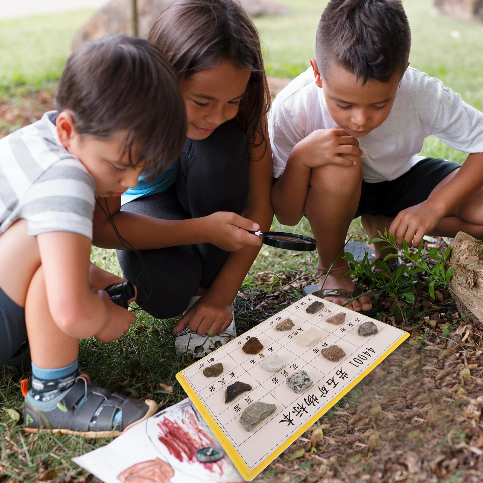 عينات الصخور المعدنية والمعادن والصخور تجربة بيولوجية للمدارس الابتدائية والثانوية عرض بلاستيكي