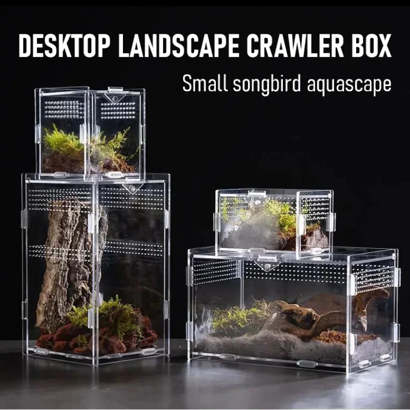 Reptile Feeding Box Acrylic Display Receptacle 95% High Light Transmission Tarantula Enclosure Scorpion Bearded Dragon Habitat