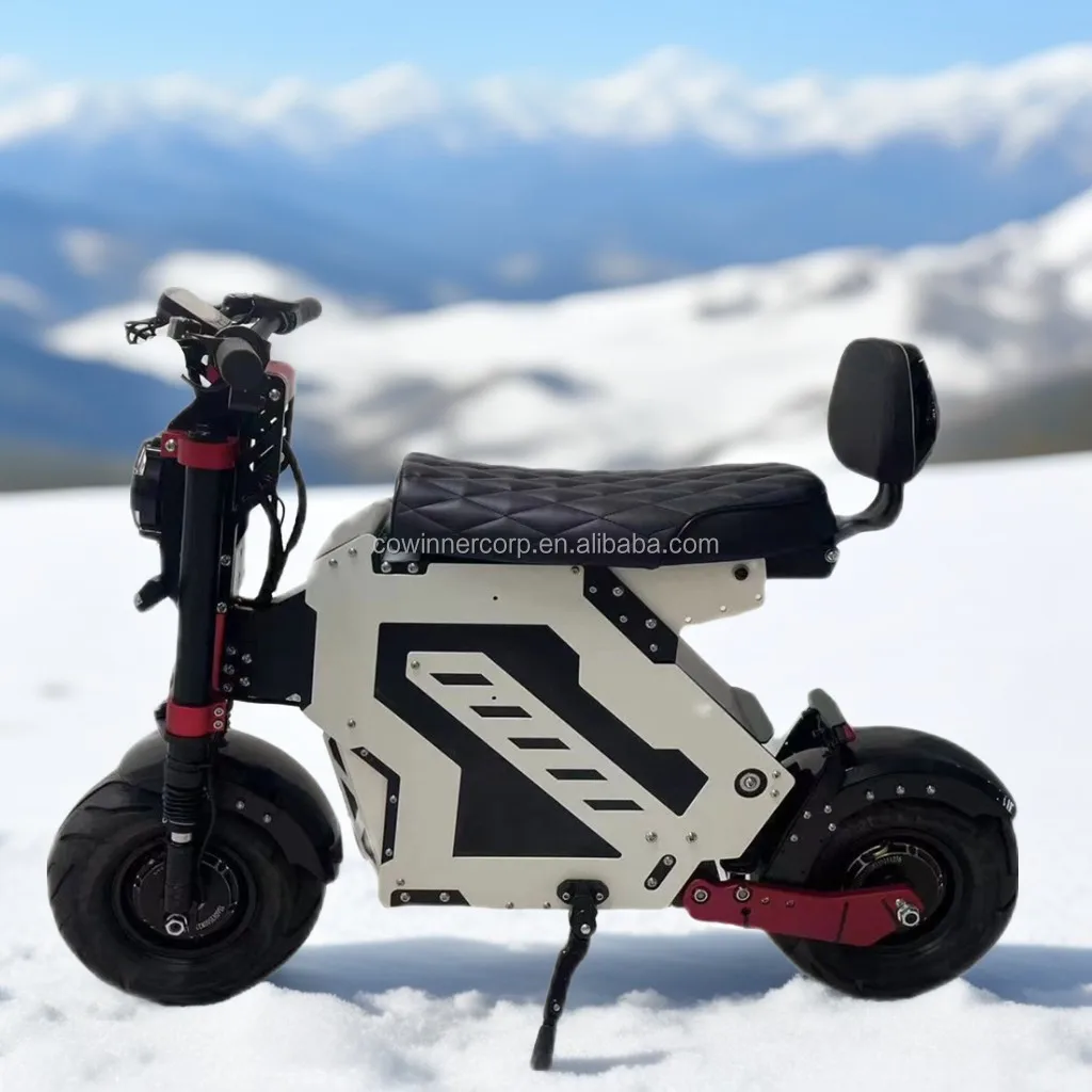 أجزاء وملحقات السكوتر الكهربائي سهلة التركيب، طقم مسند ظهر خلفي مريح لركوب الخيل لـ Molo 5 #1