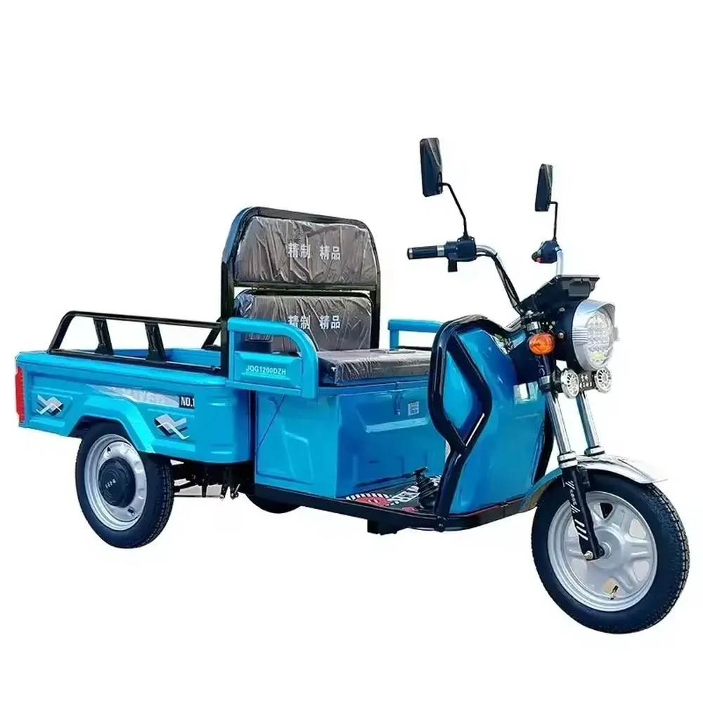 Electric Tricycle 3 Wheel Motor Hybrid Trike, Eco-Friendly Electric Cargo Bike for Adults, Affordable Price