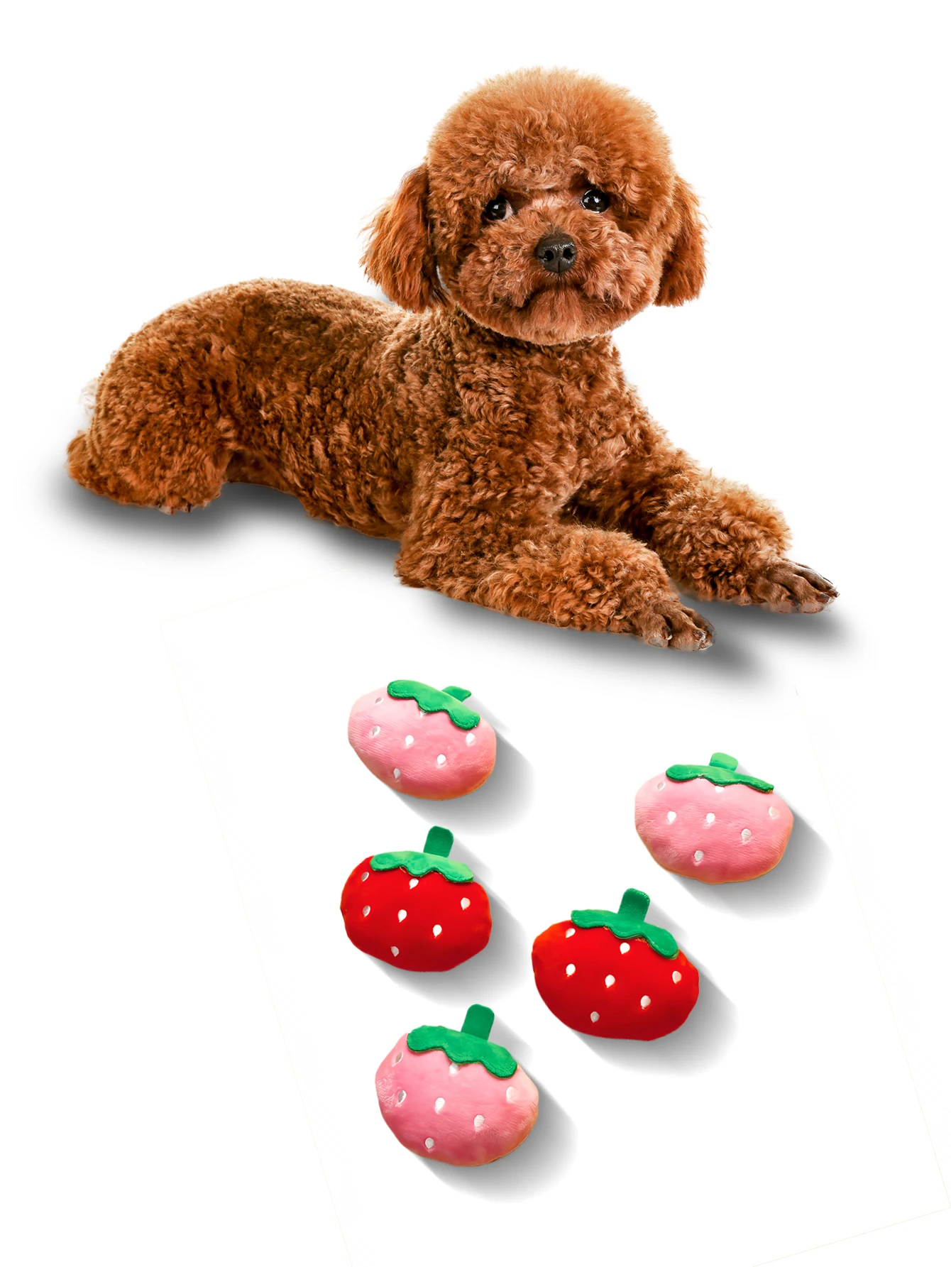 1 plush strawberry pet vocal toy with 2 colors