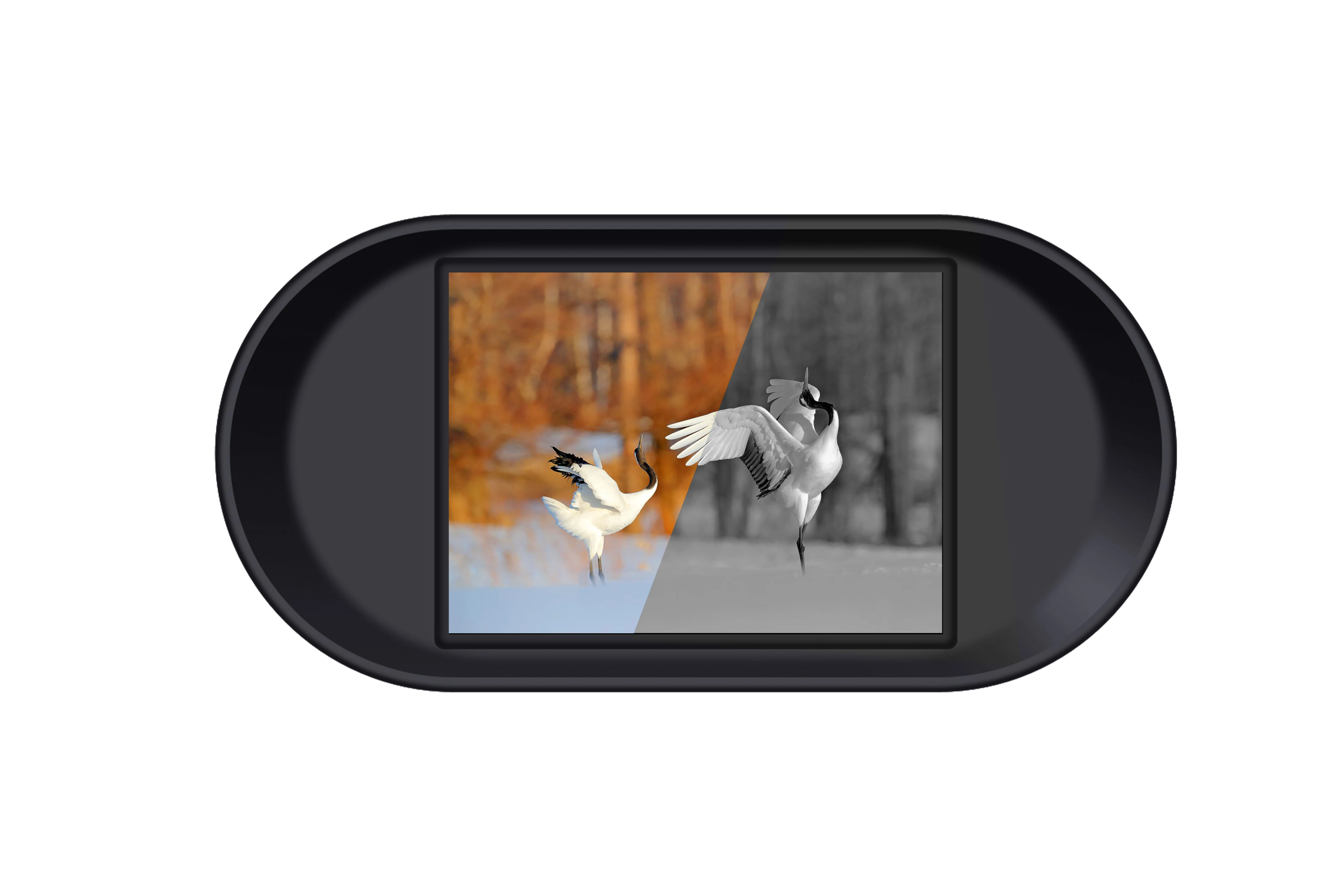 SPRITE GROUP 2.5K 30FPS PIR Motion Detection Wifi Function 8X Digital Zoom 10X Magnifying Lens Night Vision Binocular Camera