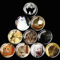 Cute Cat Fridge Magnet Animal Cartoon Kitten Stickers Glass Dome Cabochon Refrigerator Magnets Home Decor Decorative Magnets