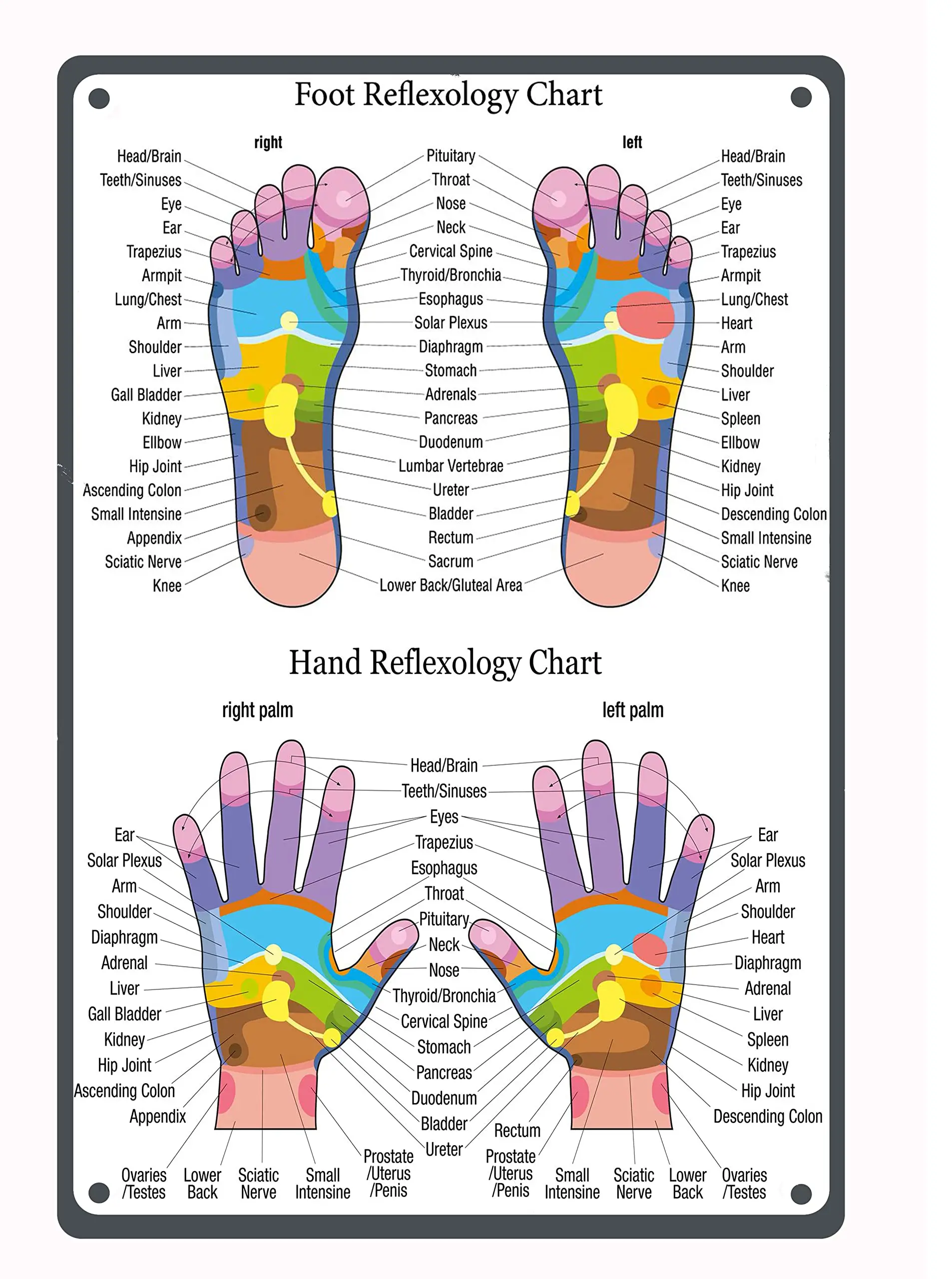 Hand Reflexology Chart Metal Tin Sign Vintage Retro Posterfor Kitchen Cafe Bar Home Bedroom Yoga Studio Wall Decor 8x12 Inc sign