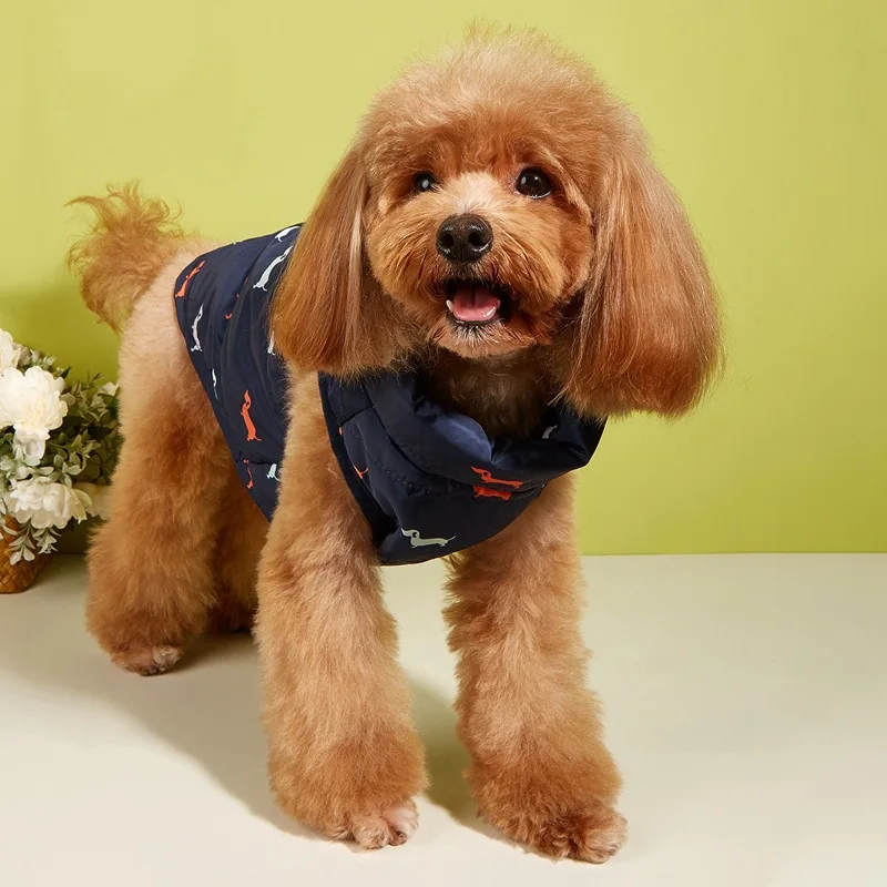 Hundejacke mit Leinenclip für Haustiere, Hunde-Baumwollmantel, Teddy- und Pomeranian-Weste, Wärme – bietet Unterhemd