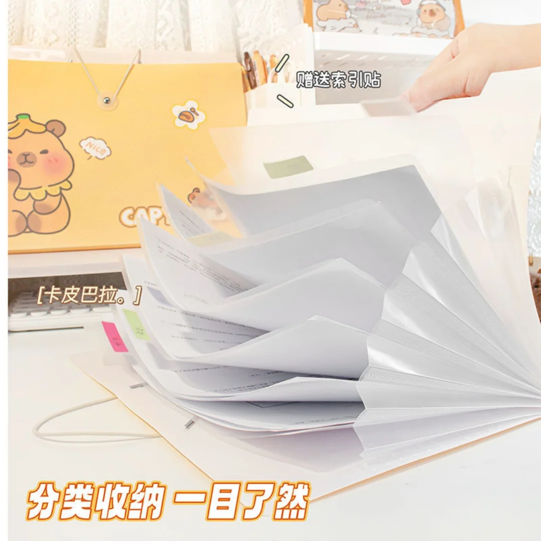 لطيف كابيبالا مجلد ملفات قابل للتوسيع 5/8/12 مجلدات الجيب طالب متعدد الطبقات امتحان ورقة تخزين حقيبة الملفات لمكتب المدرسة #3