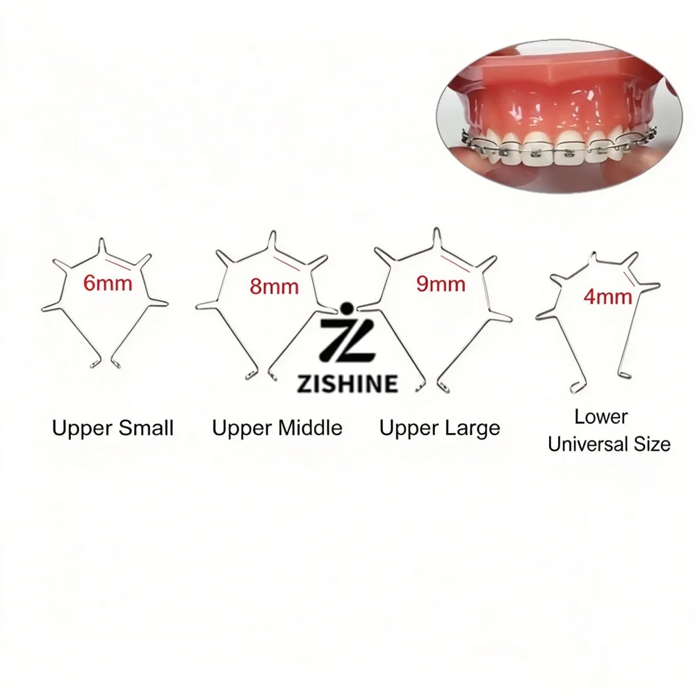 10Pcs Orthodontic Five Curve Torque Springs Anterior Root Torquing Auxiliary Arch Stainless Steel Upper Lower Dental Materials