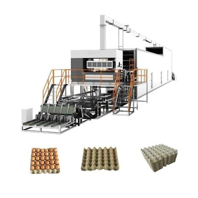 Popular Waste Paper Recycling Automatic Paper Pulp Molding Egg Tray Forming Making Machine Gearbox Motor High Capacity