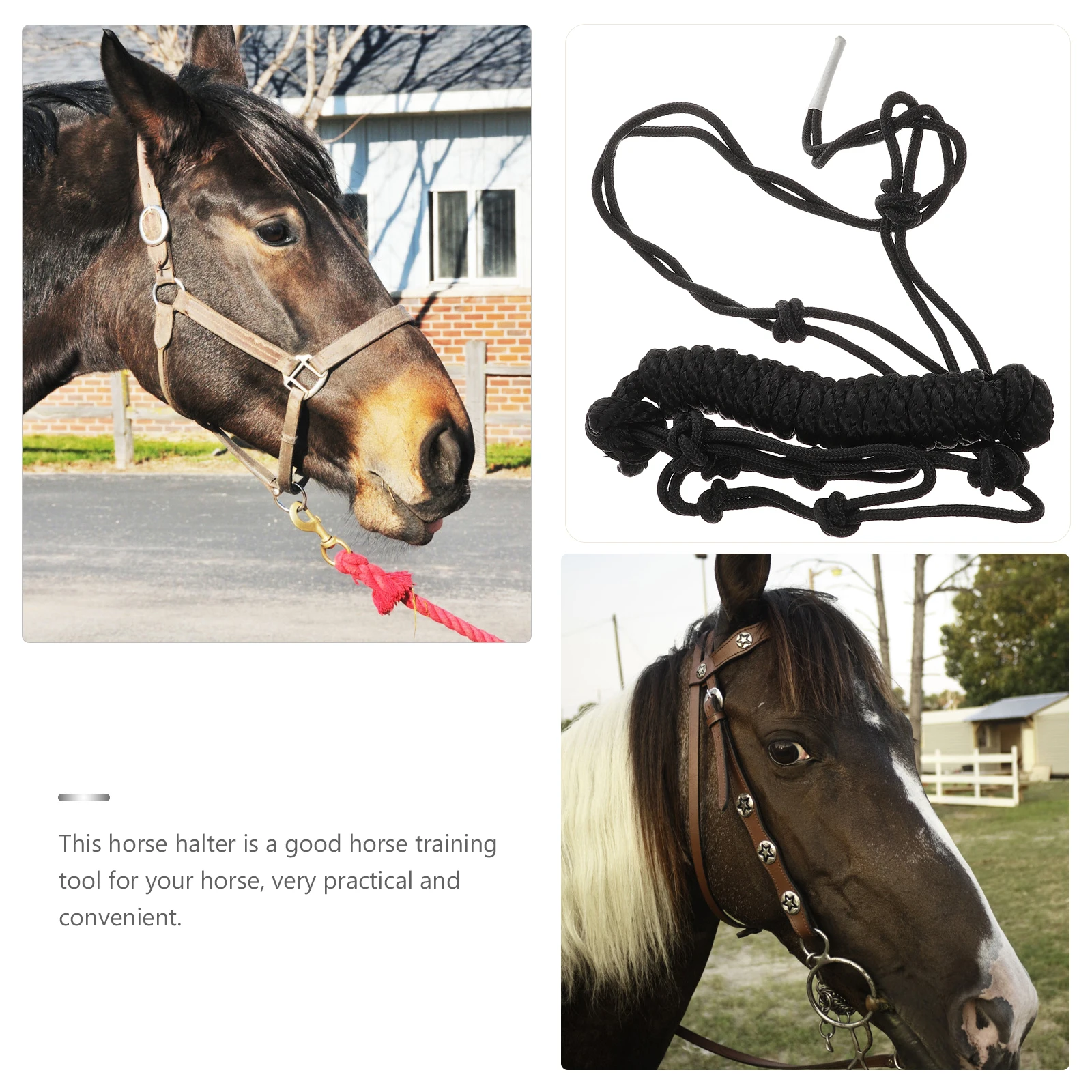 الرسن معدات التدريب المقاومة للاهتراء المحمولة خفيفة الوزن سلامة ركوب طوق في الهواء الطلق الحصان رئيس طوق #4