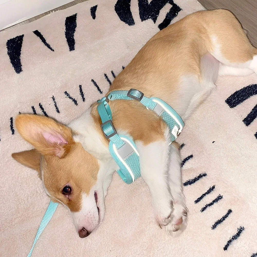 Mesh Breathable Pet Harness for Small Medium Dogs Outdoor Puppy Dog Harnesses and Leash for Walking Pomeranian Mascotas Supplies