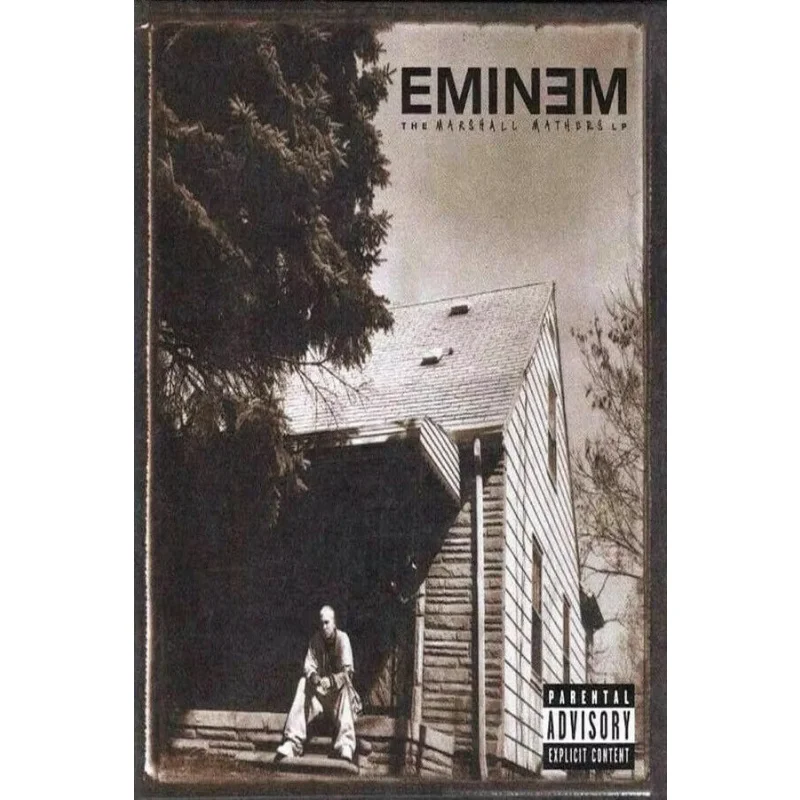 Hot Eminem Music Rapper Album Silk Fabric Wall Poster Art Decor Sticker Bright